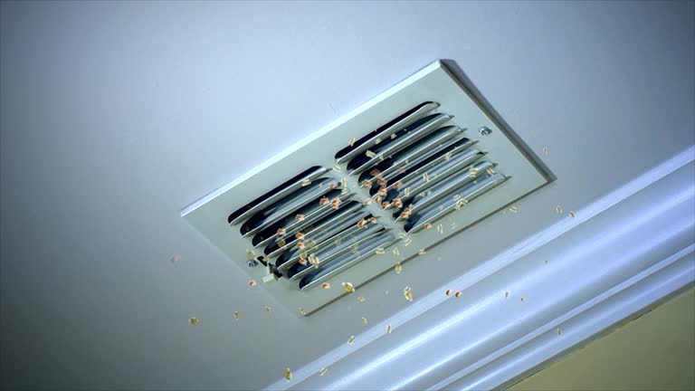 Best Local Air Duct Cleaning Services  in Fosston, MN